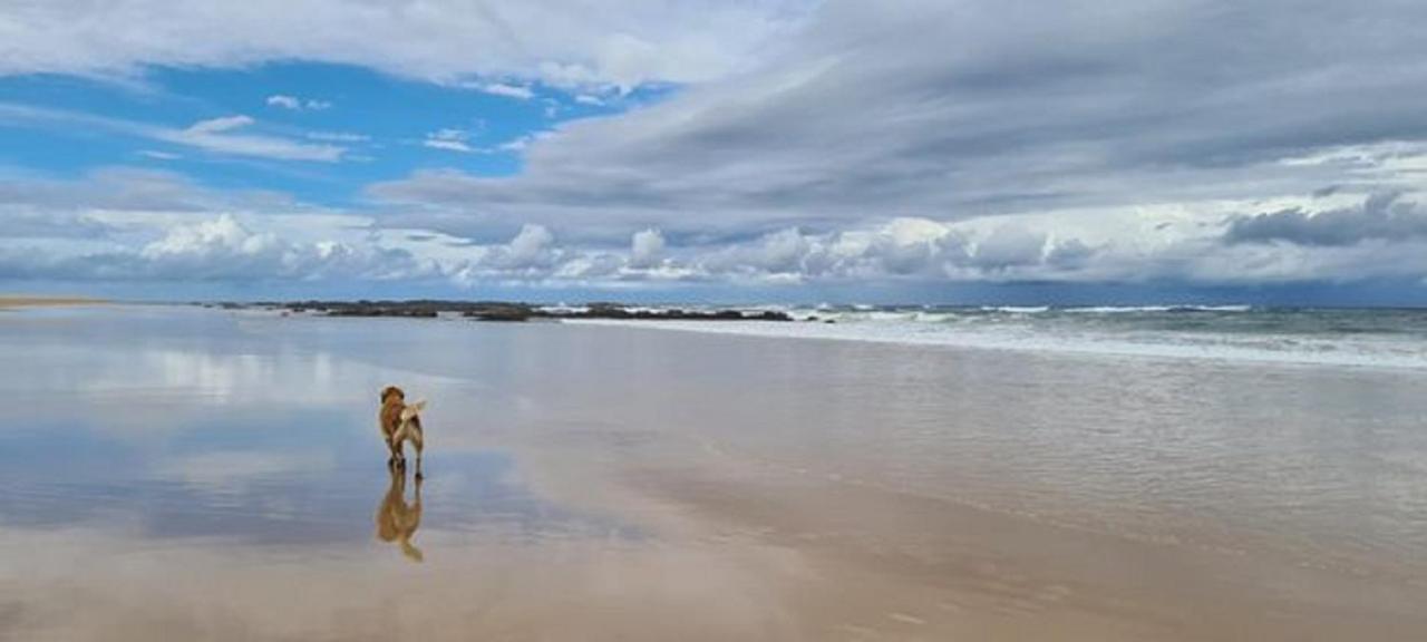 Diamond Beach Resort, Mid North Coast Nsw Εξωτερικό φωτογραφία